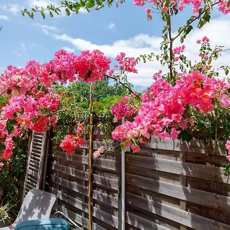 L'Annonciade-Calme-Terrasse-Parking Διαμέρισμα Κάννες Εξωτερικό φωτογραφία